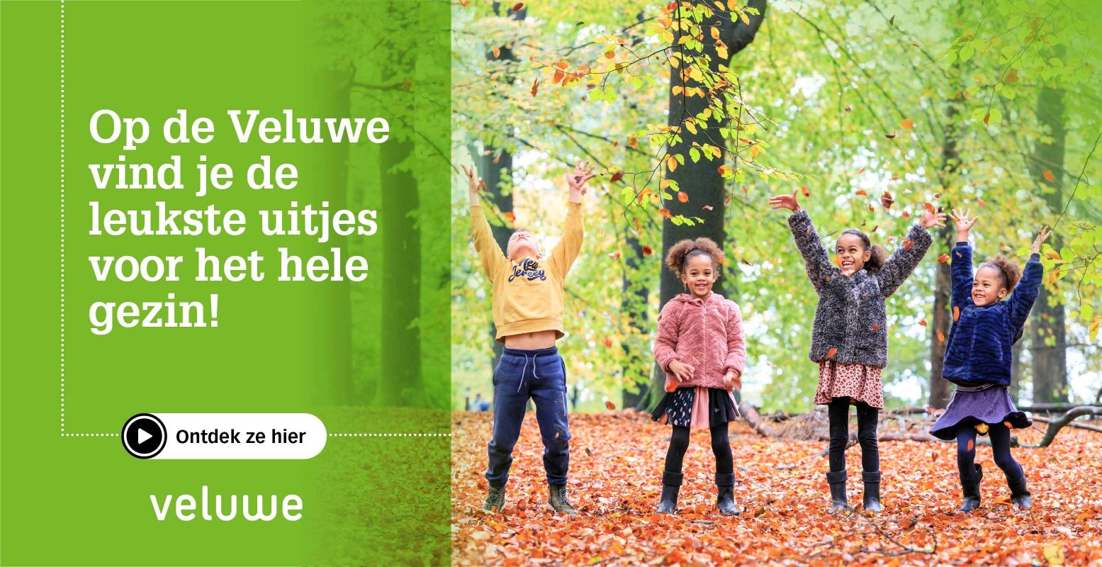 Toerisme Veluwe Arnhem Nijmegen