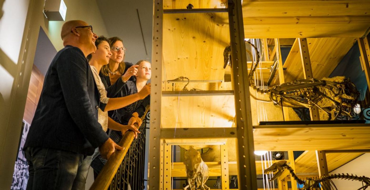 Ontdek het museum in het donker tijdens de FamilieMuseumnacht. Foto: Universiteitsmuseum Utrecht