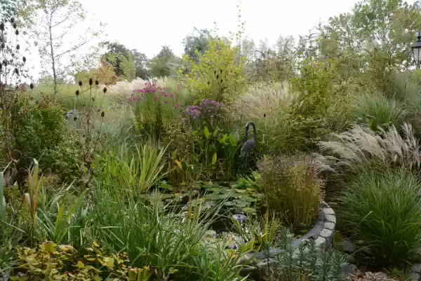Bezoekdagen Tuin de Pionier-Ster Vijver Foto: W. Verschuur