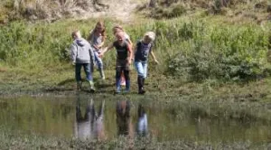 Op jacht naar waterdiertjes