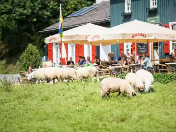 Op welk terras neem jij even pauze? Foto: © Visit Zuid-Limburg