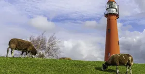 Dit zijn de mooiste fietsroutes van 2021 Over de LF Kustroute langs de kust bij Den Helder. Foto: Jessica de Korte