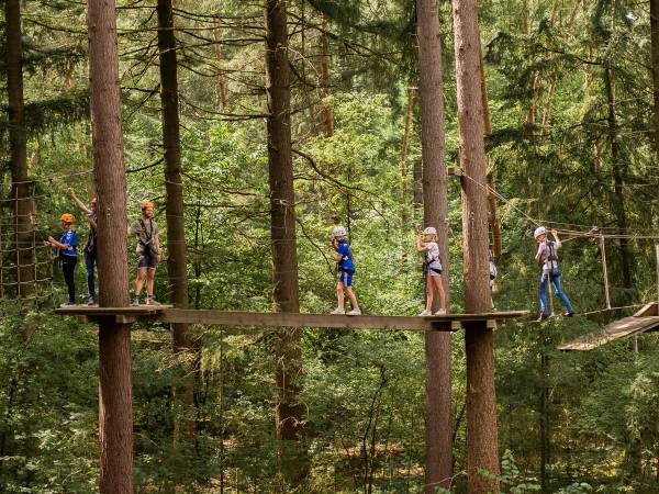 Balanceer op een meters hoge balk. Foto: Klimbos Garderen
