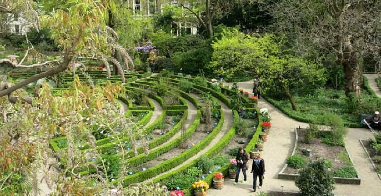 Wandel rond door de botanische tuinen van Hortus Amsterdam. Foto: Hortus Botanicus Amsterdam