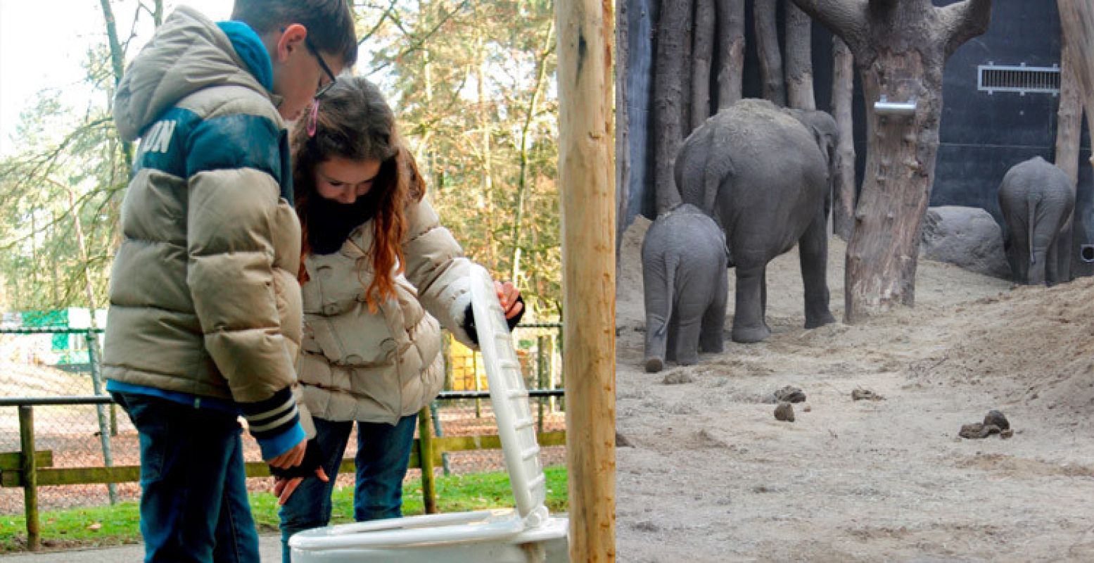 Samen op Poeptour! Foto: DierenPark Amersfoort