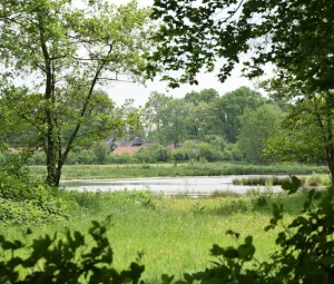 Cultuurhistorische wandeling Foto geüpload door gebruiker Geldersch Landschap en Kasteelen
