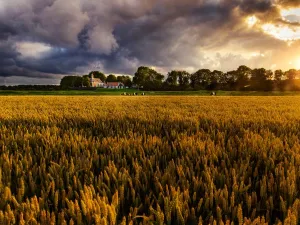 Je vindt het museum in de mooie Noordoostpolder. Foto: Museum Schokland