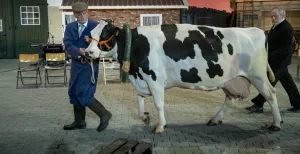 Hanna van Hendrik: theaterspektakel over Twents plattelandsleven