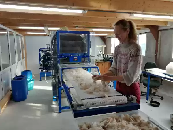 Kitalpha Alpaca's is de enige alpacawolspinnerij van Nederland! Foto: Kitalpha Alpaca's