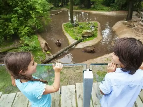 Foto: Ouwehands Dierenpark.