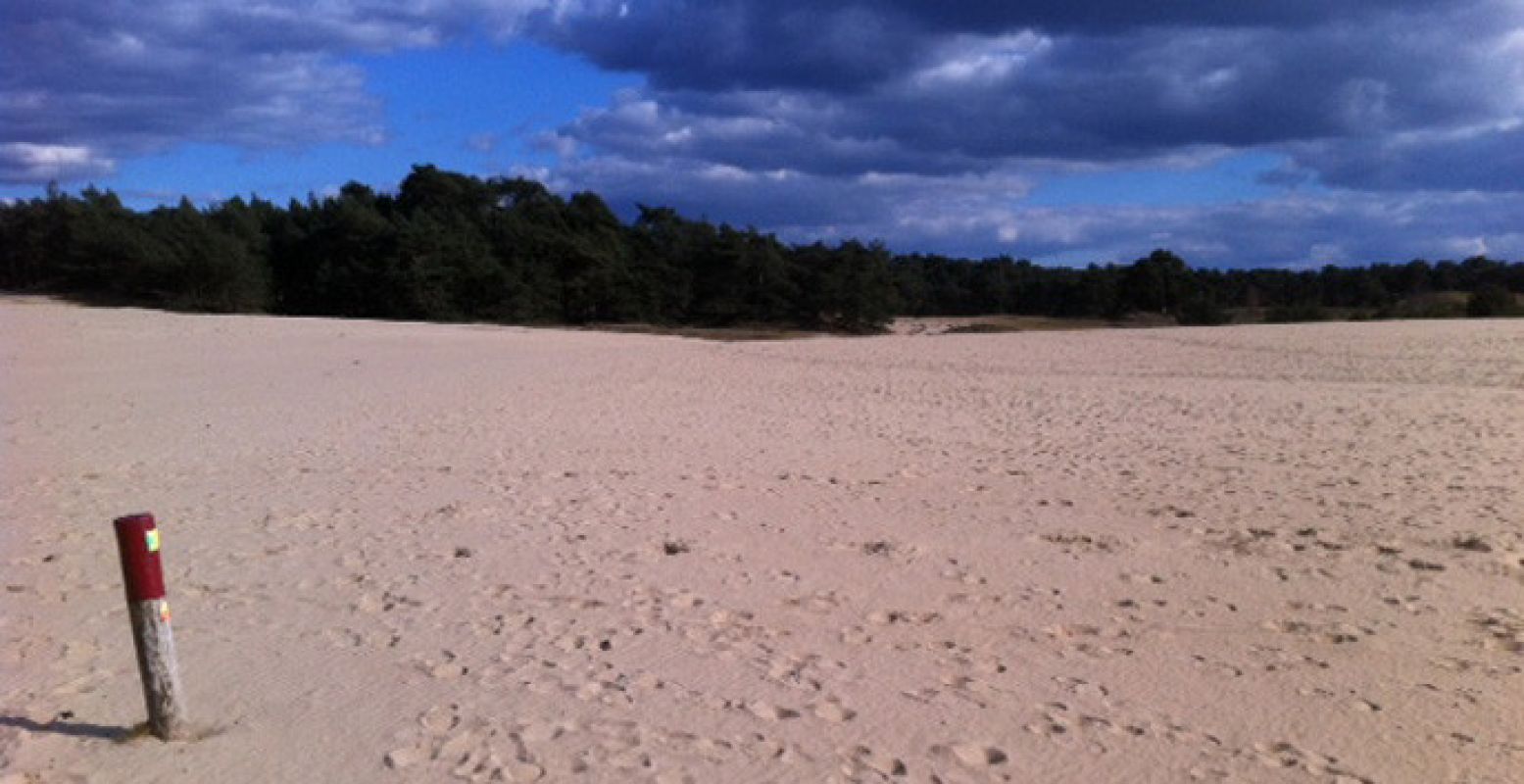 Kom tot rust op uitgestrekte zandvlaktes. Foto: Van Gogh Wandeling.