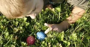 OERRR - Eieren zoeken in de Oisterwijkse bossen! OERRR - Eieren zoeken in de Oisterwijkse bossen!Foto geüpload door gebruiker Natuurmonumenten.
