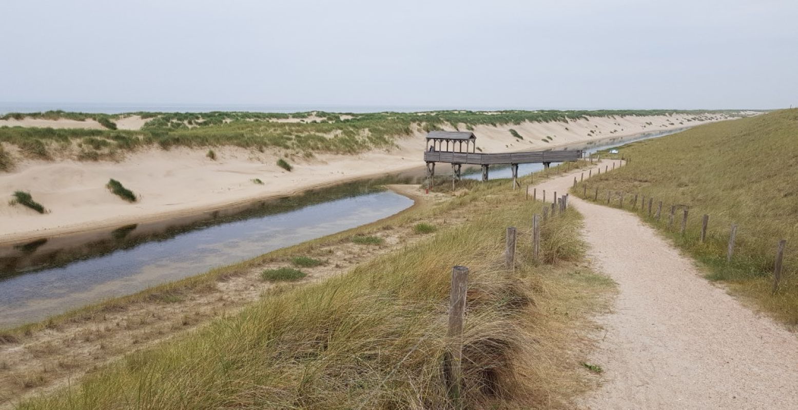 Of ontdek een mooi natuurgebied, zoals de Hondsbossche duinen bij Petten. Foto: DagjeWeg.NL.