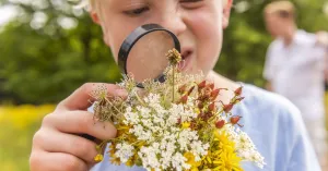 Lentepret met de Boswachter in Utrecht (4-12 jaar) Lentepret met de Boswachter in Utrecht (4-12 jaar) | Foto geüpload door gebruiker Natuurmonumenten.