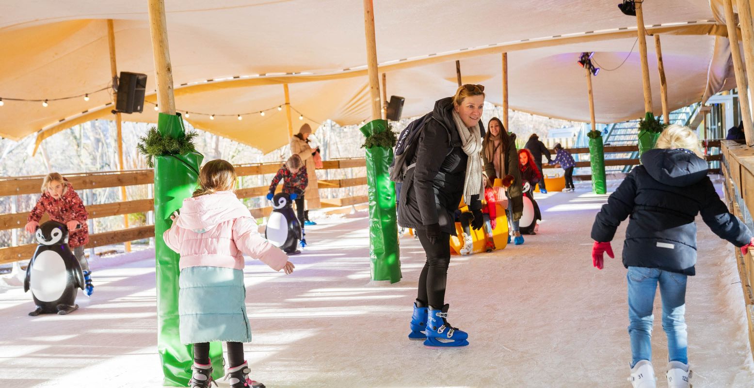 Bij Plaswijckpark Rotterdam is het nog winter! Bind de schaatsen onder en zwier de ijsbaan rond. Foto: Plaswijckpark