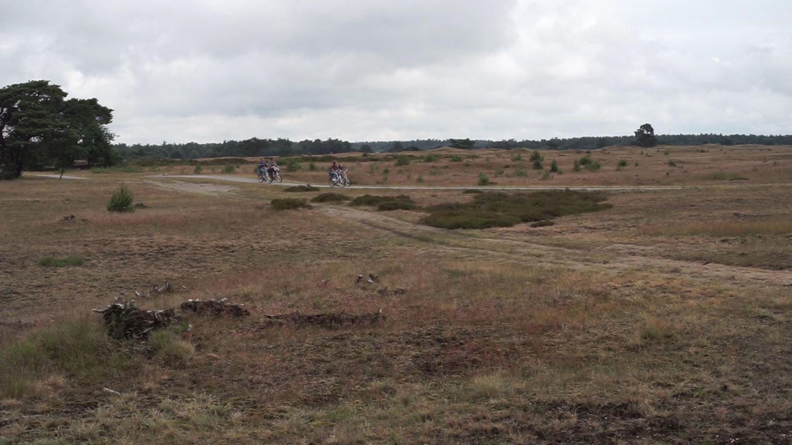 Op de witte fietsen door Het Nationale Park De Hoge Veluwe. Foto: DagjeWeg.NL.