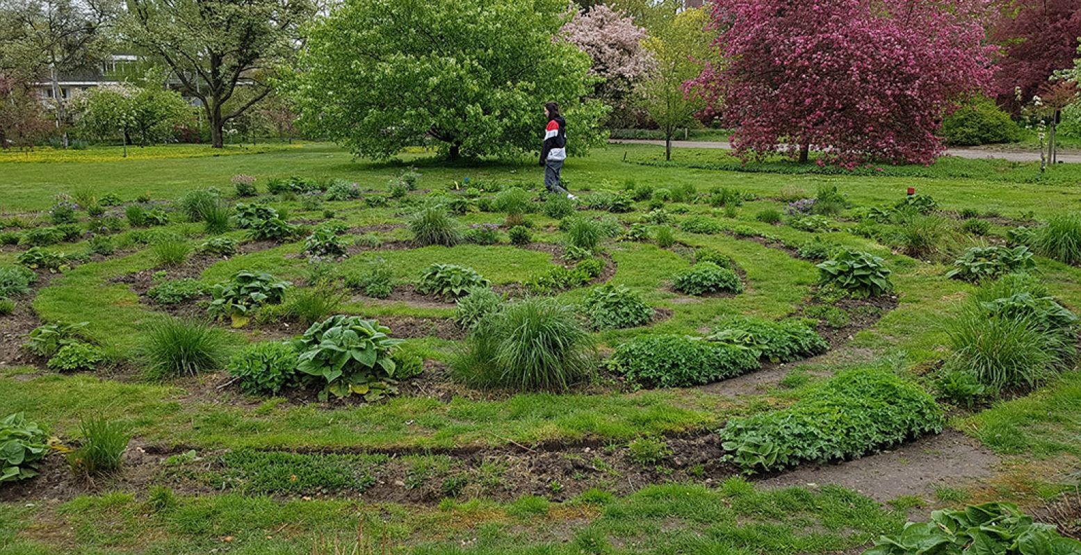 Het bloemen- en plantendoolhof in Arboretum Belmonte is daar 'achtergebleven' na één van de Beelden op de Berg zomerexposities. Foto: DagjeWeg.NL @ Tonny van Oosten