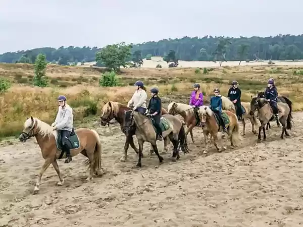 Natuurpoort van Loon Ontdek het natuurgebied te paard. Foto: Natuurpoort van Loon
