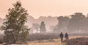 De mooiste herfstwandelingen rondom Ede