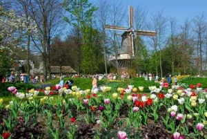 Krijg de kriebels van Keukenhof