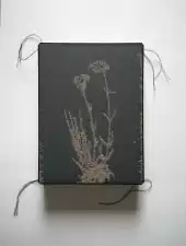 uit de serie 
