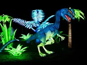 Light Nights in Ouwehands Dierenpark Foto: Ouwehands DierenparkFoto geüpload door gebruiker.