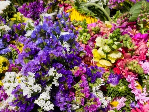 Bloemencorso Winkel