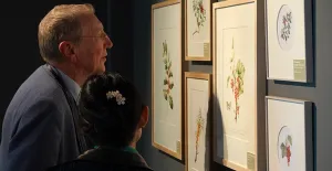 De 15 leukste musea  voor een dagje uit in Noord-Holland Tekeningen bekijken in Museum De Zwarte Tulp. Foto: Museum De Zwarte Tulp © Petra Sonius