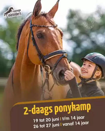 Manege Meinders Ponykamp ponykamp, foto: Carolien Krabbe