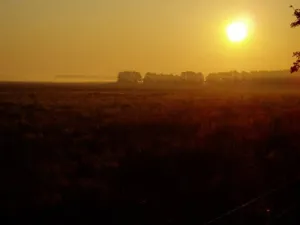 Wandel mee in de avondzon