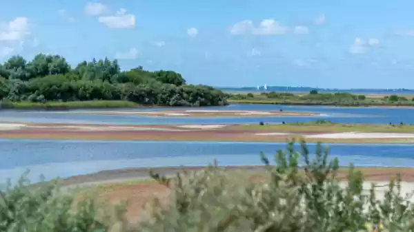 Ontdek de Slikken van Flakkee slikken van flakee | Foto ge&uuml;pload door gebruiker Staatsbosbeheer.