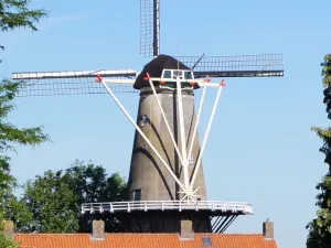 Molen Prins van Oranje De Prins van Oranje. Foto: DagjeWeg.NL © Grytsje Anna Pietersma