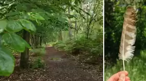 Een lange wandeltocht vol natuurbeleving Fotograaf: Pim Timmermans