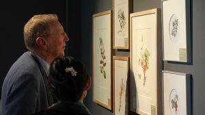Twee mensen bekijken schilderijen van planten in Museum De Zwarte Tulp Foto: Foto: Petra Sonius