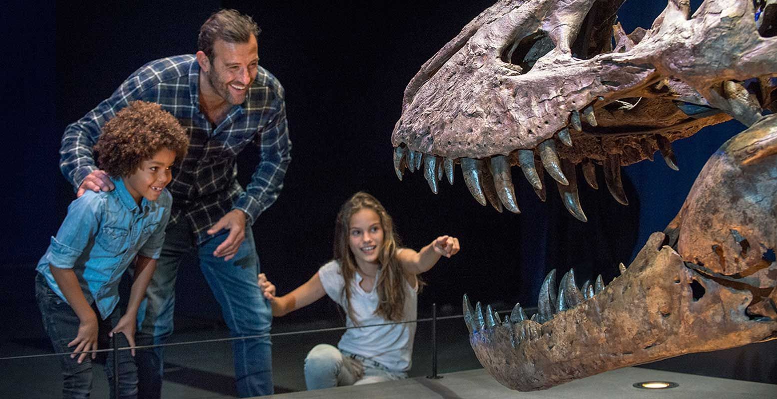 Bekijk het skelet van een T.Rex. Foto: Natuurmuseum Fryslân © Mylene Siegers