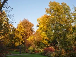 Trompenburg in herfstkleuren. Foto: Trompenburg