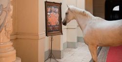 Ontdek hoe een manege een museum werd