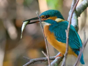 Foto: De Vijvertuinen van Ada Hofman