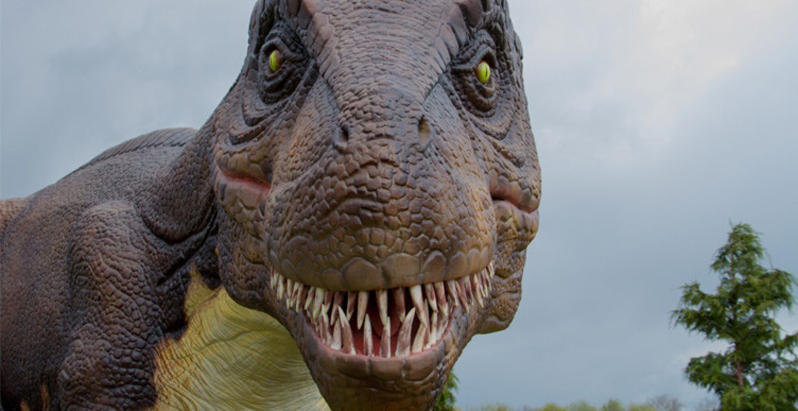 Indrukwekkende dinosaurussen in Dinopark Tenaxx. Foto: Landgoed Tenaxx