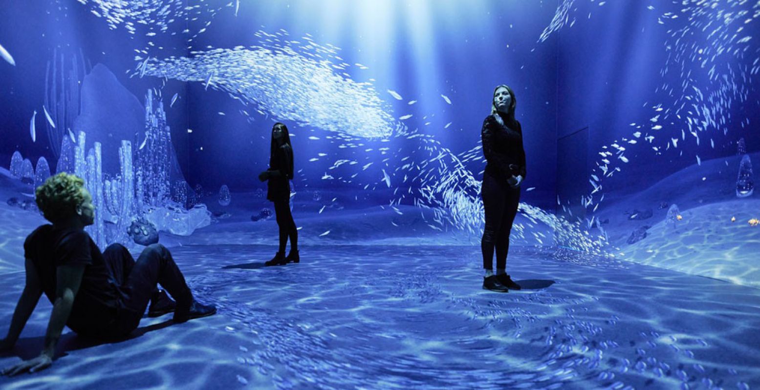 Wandel door een aquarium. Foto:  Audiovisual experience Remastered