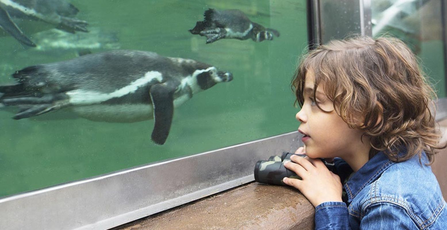 Ontmoet bijzondere dieren in Rhenen. Foto: Ouwehands Dierenpark.