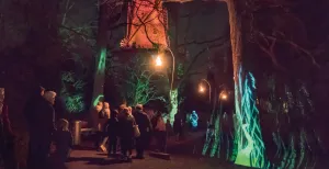 Twinkelende lichtjes bij Wonderlicht Alkmaar Trommel je vrienden, familie of partner op en wandel langs magische lichtspektakels. Foto: Wonderlicht Alkmaar 2020 © La Luuz