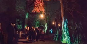Twinkelende lichtjes bij Wonderlicht Alkmaar