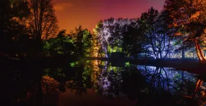 Wandel door een Rotterdams toverbos