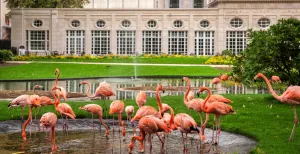 Antwerpen: de leukste activiteiten voor stelletjes Verken samen het dierenrijk in ZOO Antwerpen. Foto: ZOO Antwerpen © Jonas Verhulst.