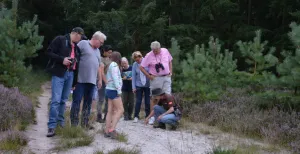 Op avontuur in de schemerige natuur