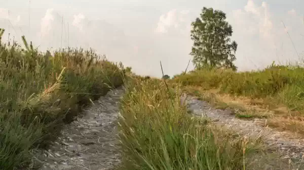 Grindpad tegen een heuvelweide | Foto ge&uuml;pload door gebruiker Staatsbosbeheer.