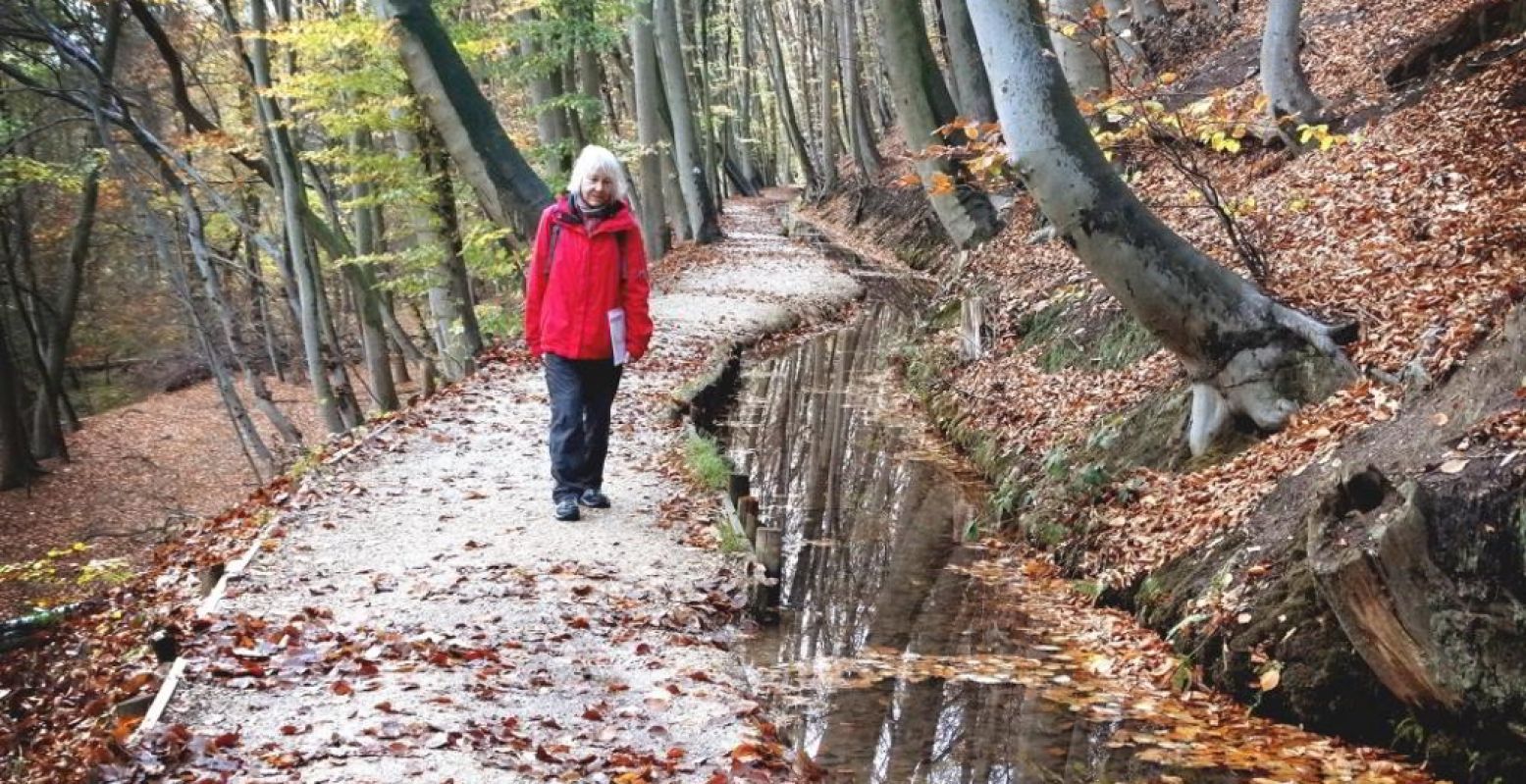 Bij vlagen magisch. De Bondswandeling Nijmegen Plasmolen is een wandeling waar je voortdurend denkt: ben ik nog in Nederland? Foto: Fiets en Wandelbeurs