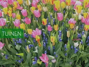 Botanische Tuinen Universiteit Utrecht Fotoshoot met je vriendinnen