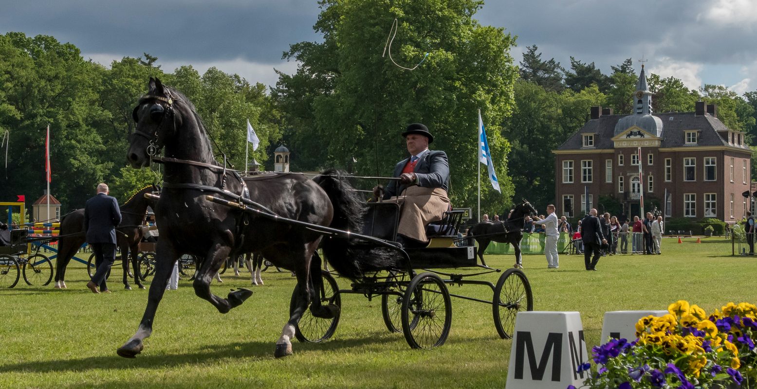 Bezoek een paardenevenement op Hemelvaartsdag, zoals Concours Hippique Bennekom voor kasteel Hoekelum. Foto: Tom Freriks